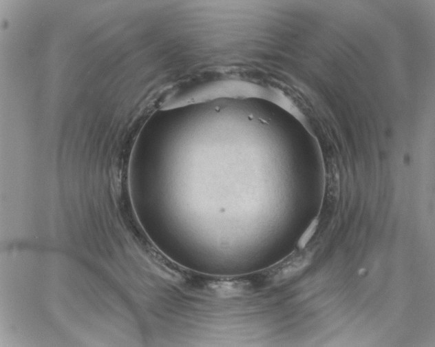 X0000065970558200603172053