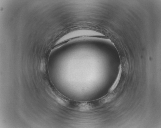 X0000065970562200603172053