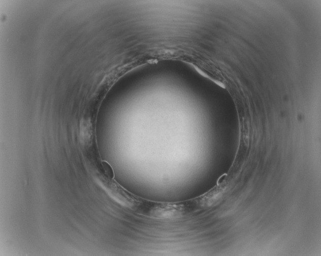 X0000065970563200603172053