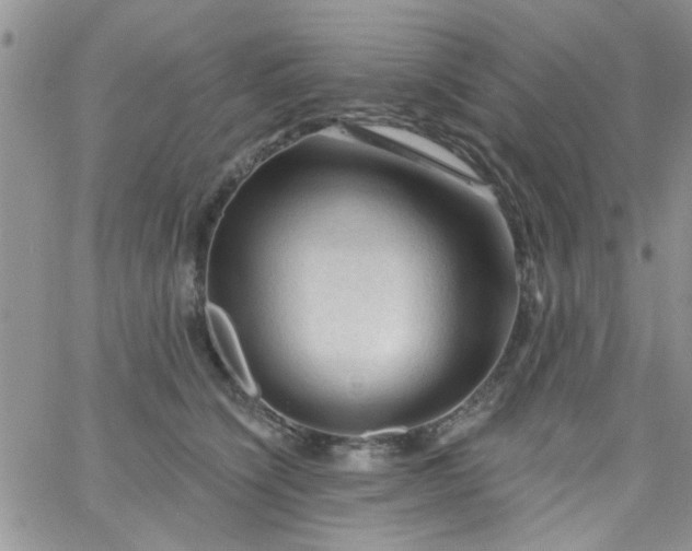 X0000065970564200603172053