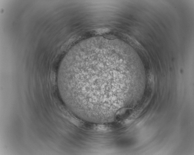 X0000065970565200603172053