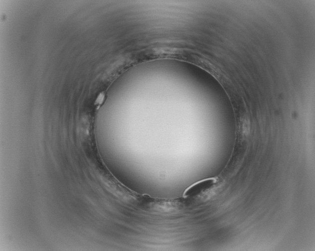 X0000065970567200603172053