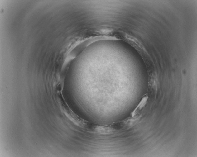 X0000065970568200603172053