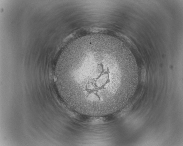 X0000065970569200603172053