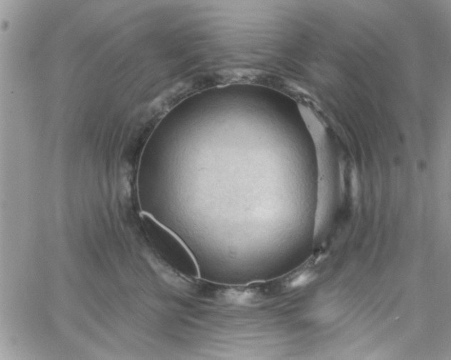 X0000065970570200603172053