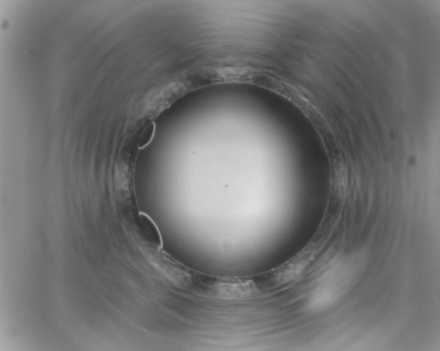 X0000065970571200603172053