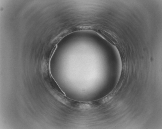 X0000065970572200603172053