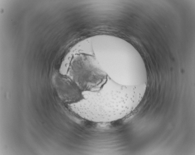 X0000065970573200603172053