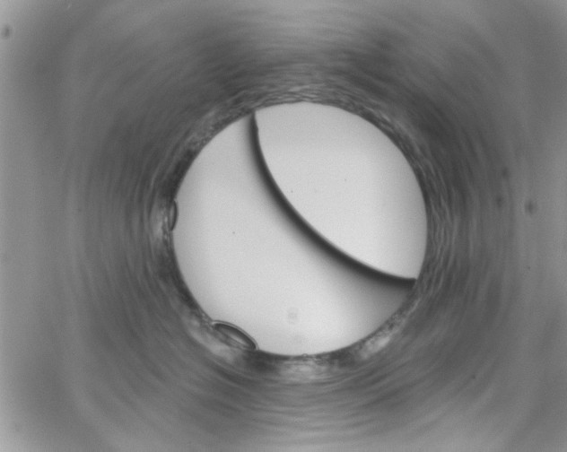 X0000065970574200603172053