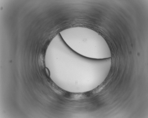 X0000065970575200603172053