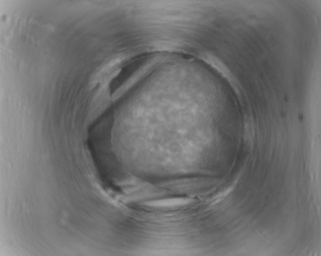 X0000065970577200603172052