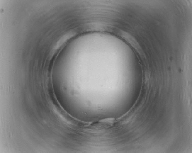 X0000065970578200603172052