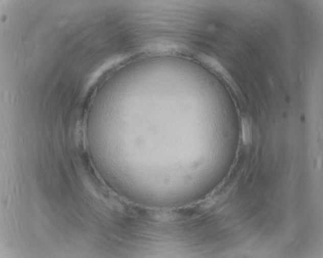 X0000065970579200603172052