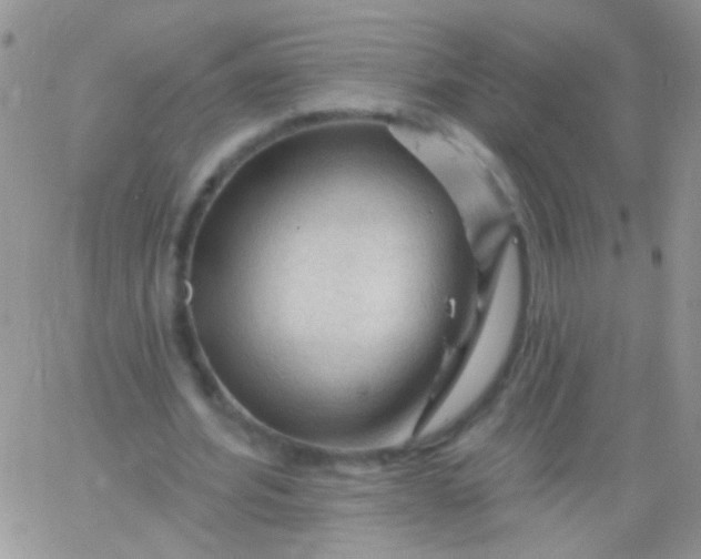 X0000065970580200603172052