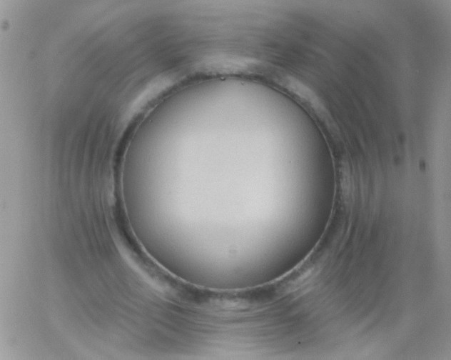 X0000065970582200603172052