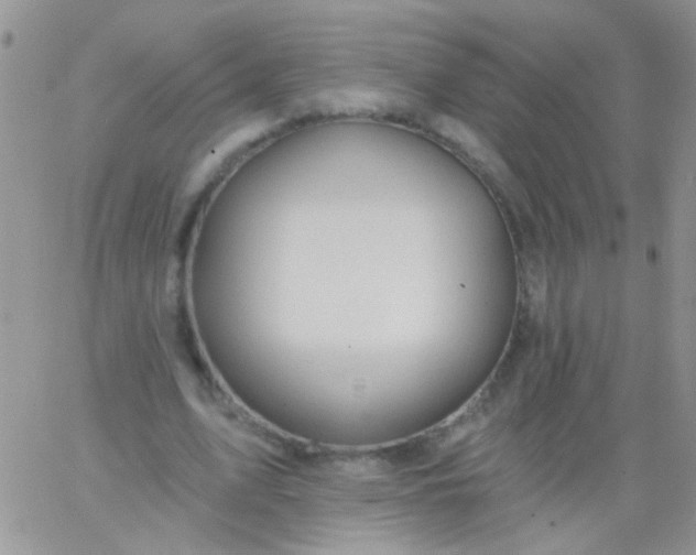 X0000065970583200603172052