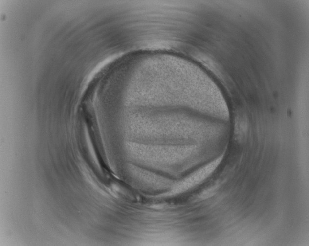 X0000065970584200603172052