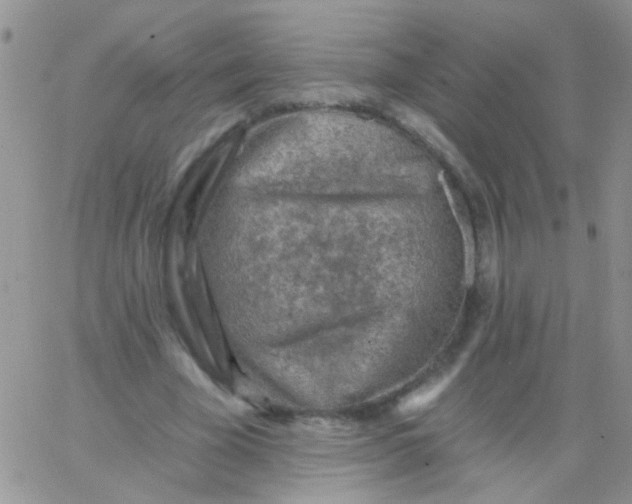 X0000065970585200603172052