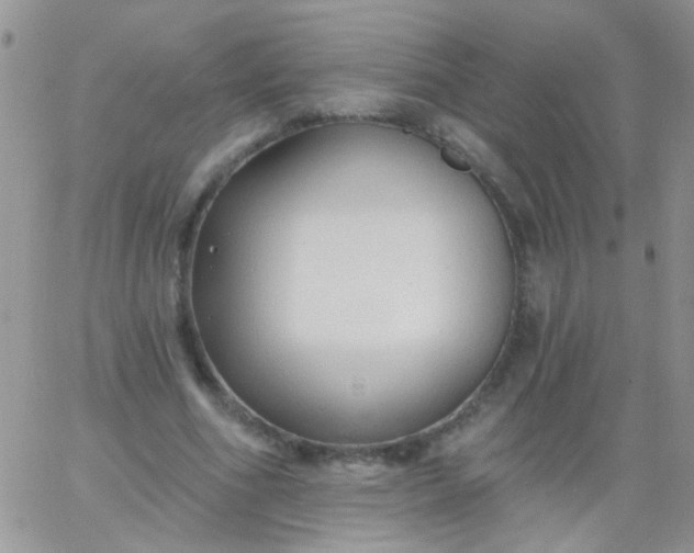 X0000065970586200603172052