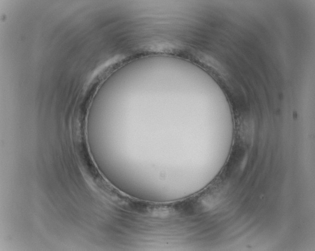 X0000065970587200603172052