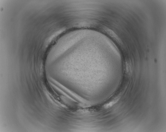 X0000065970588200603172052