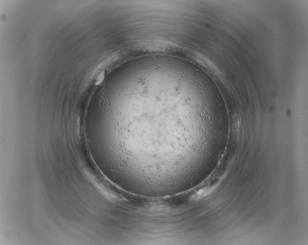 X0000065970589200603172052