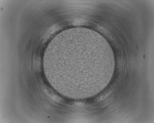 X0000065970592200603172052