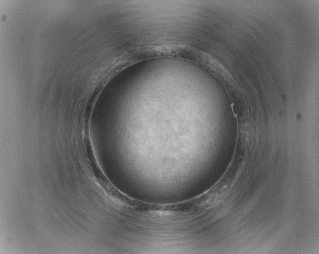 X0000065970593200603172052