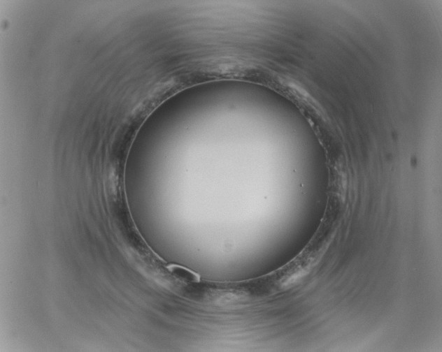 X0000065970597200603172052