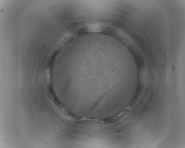 X0000065970598200603172052