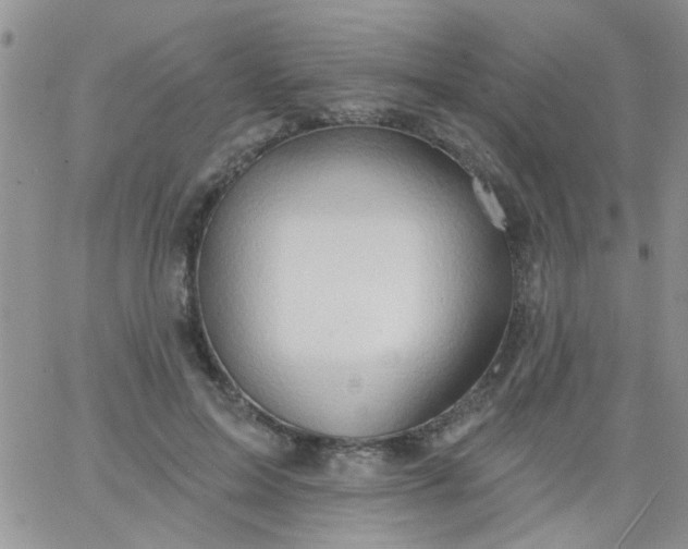 X0000065970599200603172052