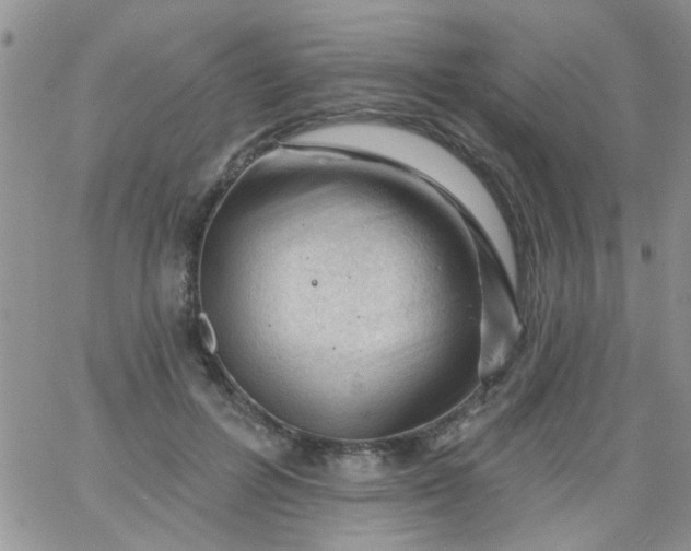 X0000065970600200603172052