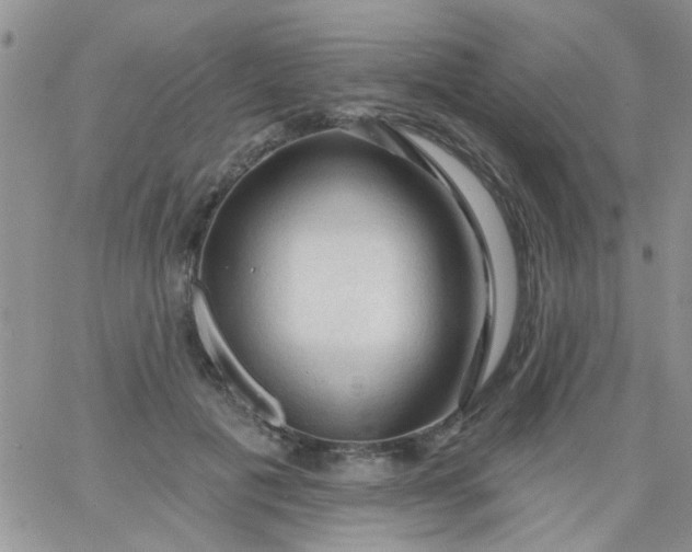 X0000065970601200603172052