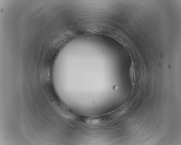 X0000065970602200603172052