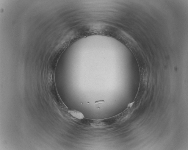 X0000065970603200603172052