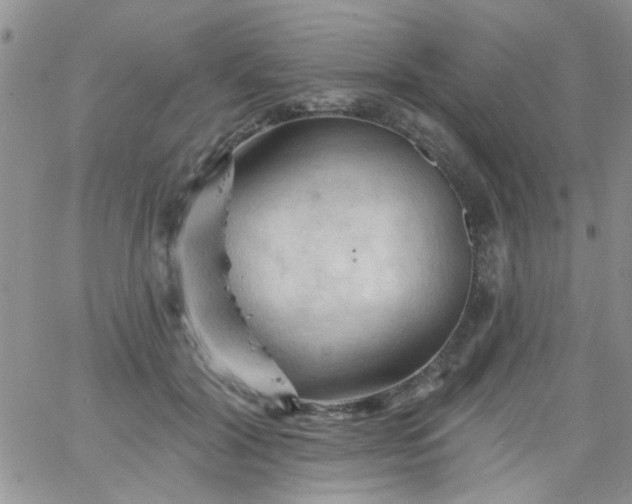 X0000065970604200603172052