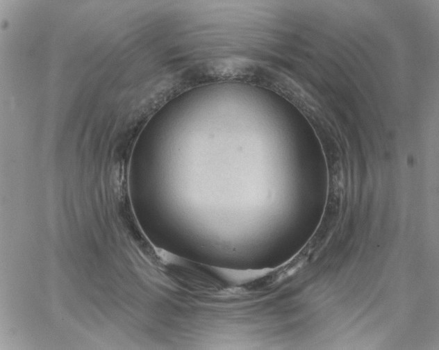 X0000065970605200603172052