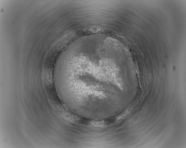 X0000065970606200603172052