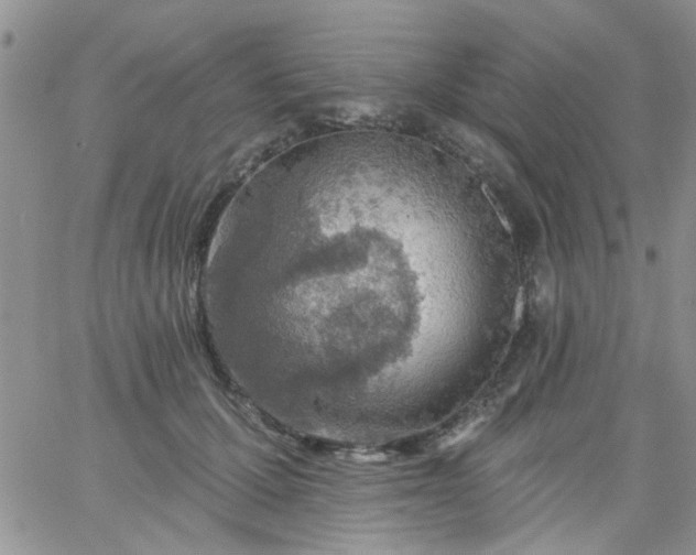 X0000065970607200603172052