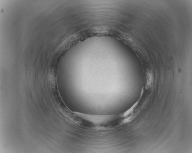 X0000065970609200603172052