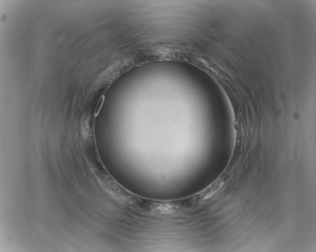 X0000065970611200603172052