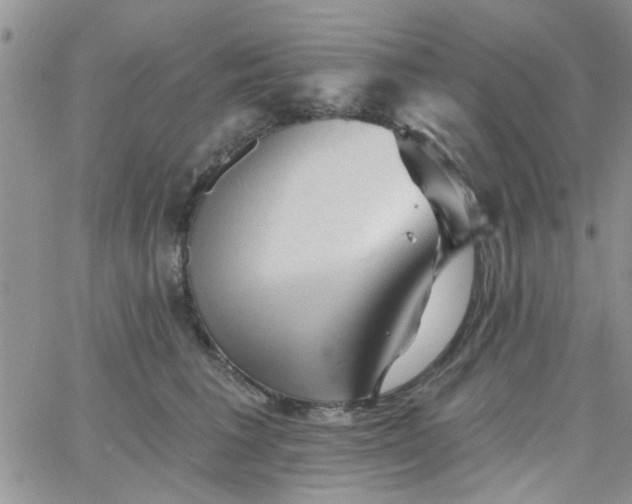 X0000065970613200603172052