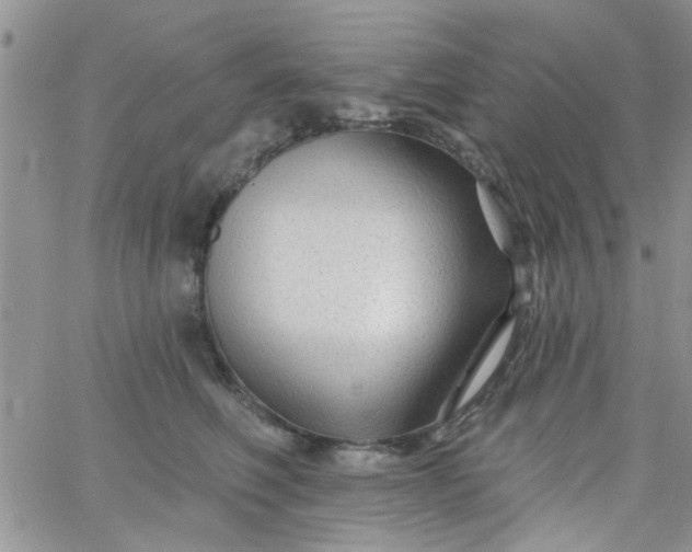 X0000065970614200603172052