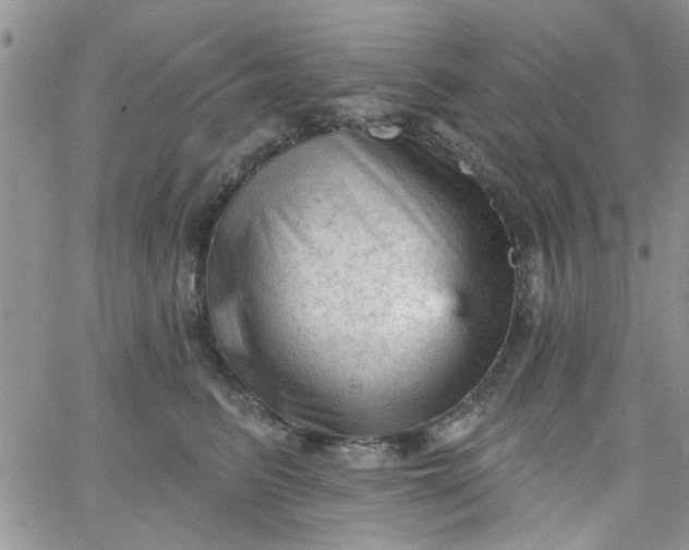 X0000065970615200603172052