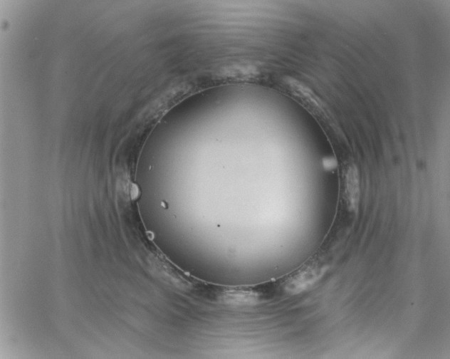 X0000065970617200603172052