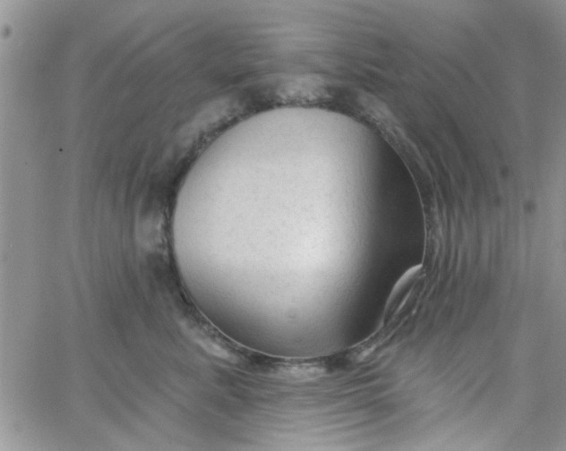 X0000065970619200603172052