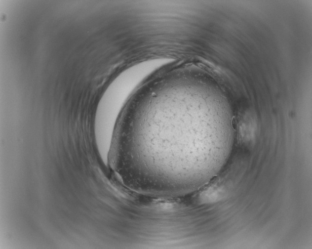 X0000065970620200603172051