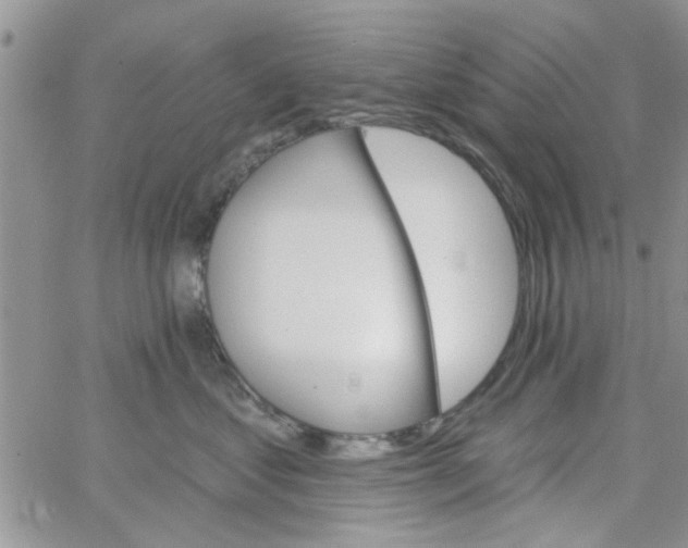 X0000065970621200603172051