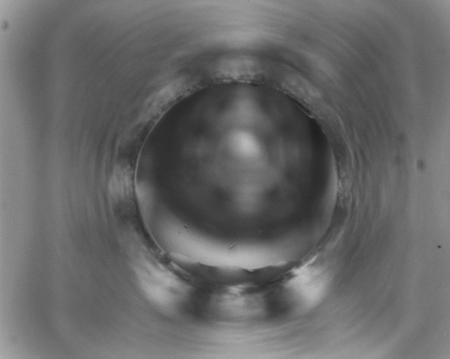 X0000065970623200603172051