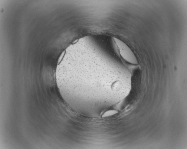 X0000065970624200603172051